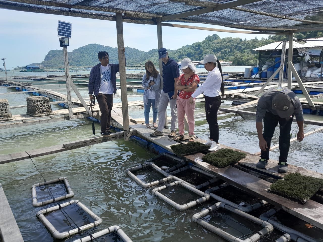 fd9413bf-4d18-44f5-8720-083682206785