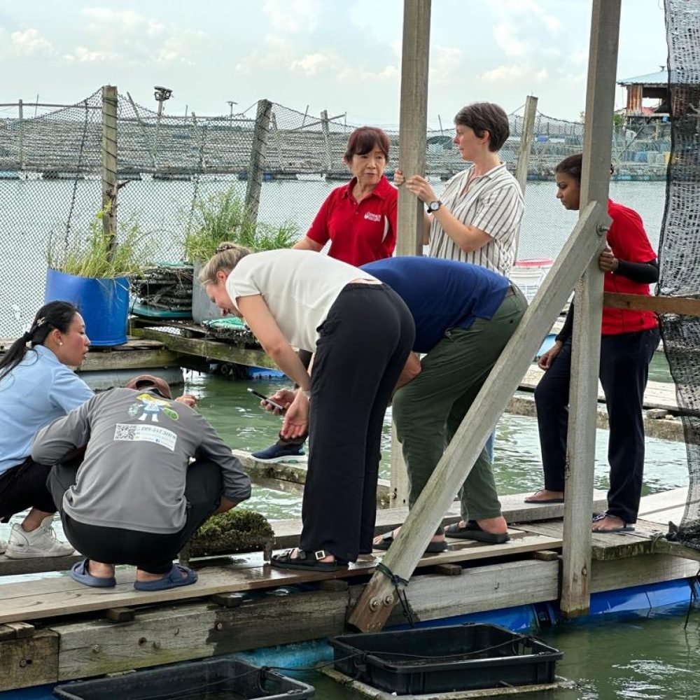 80ac8381-0c33-4f97-8229-25e50468163b