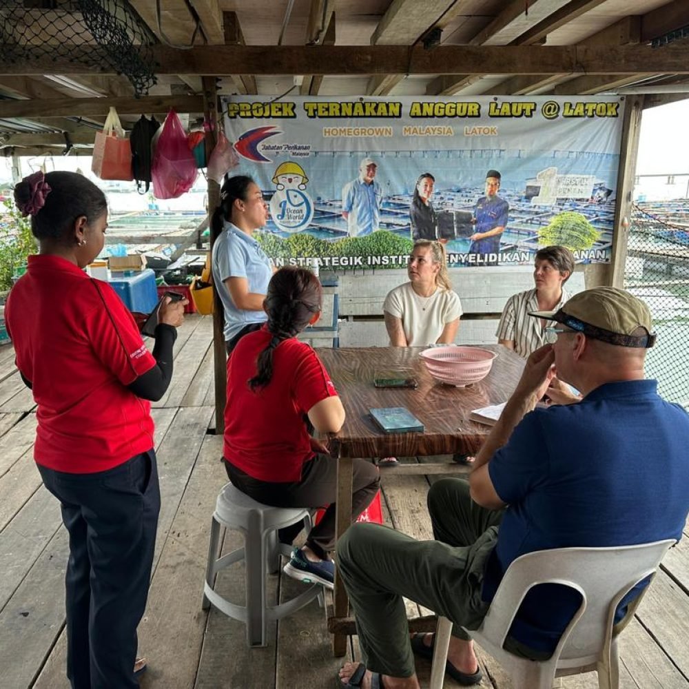 PHOTO-2025-08-19-22-15-32