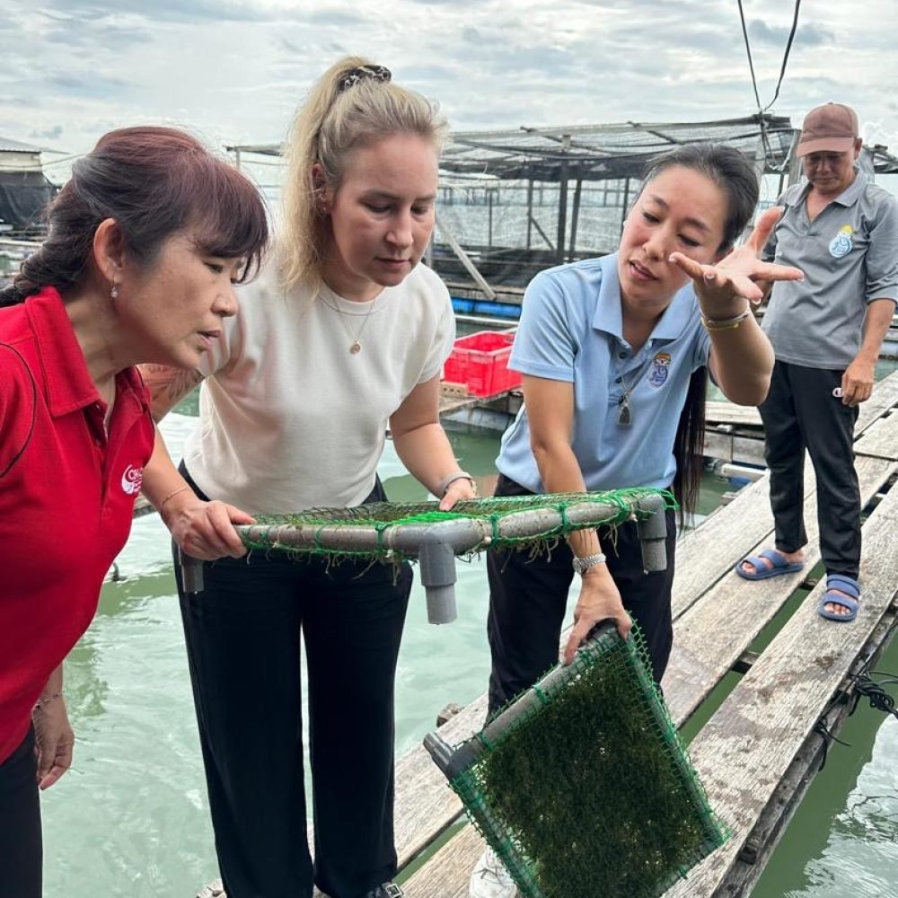 dba58b28-7e53-4ae2-a118-ba484238751b